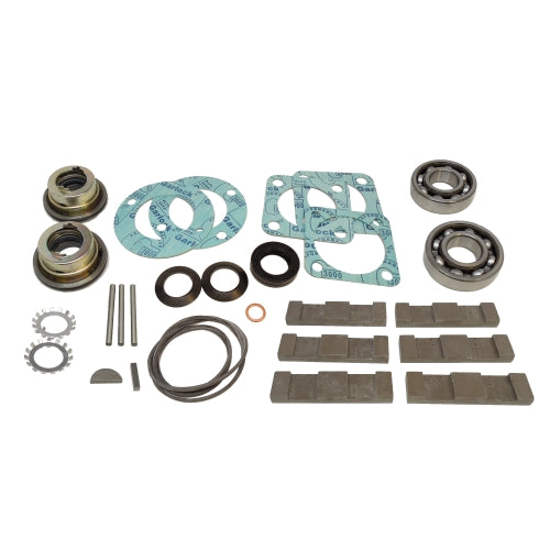 Kit de mantenimiento para bomba blackmer TXD2.5A