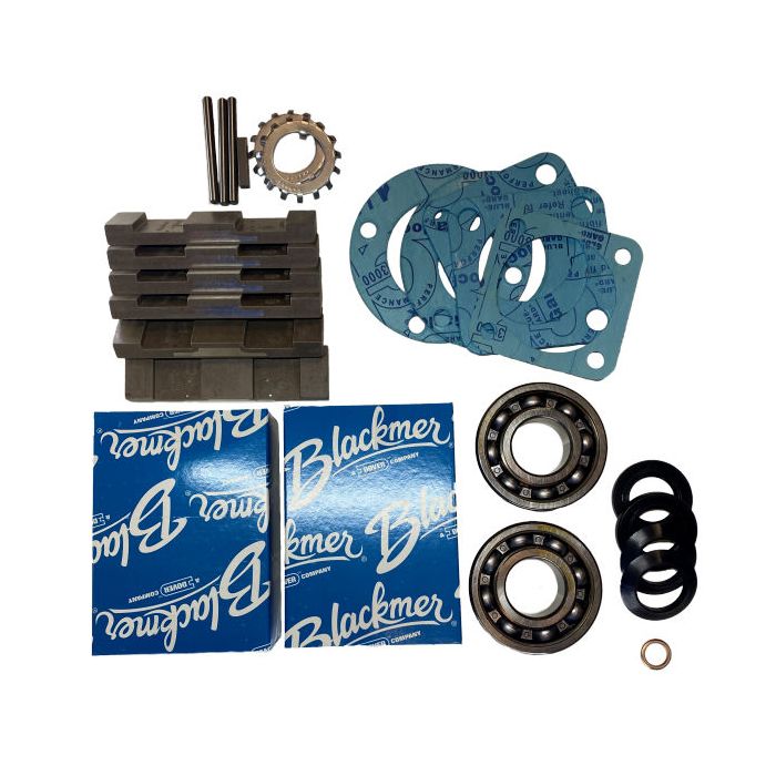 Kit de mantenimiento para bomba blackmer TXD3E