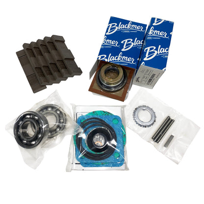Kit de mantenimiento para bomba blackmer TXD2.5A